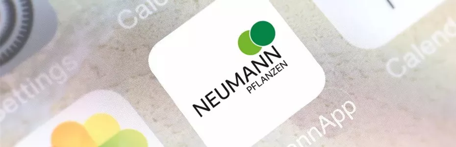 Neumann_Pflanzen_9.jpg