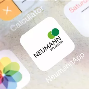 Unsere Neumann-Anfrage-App