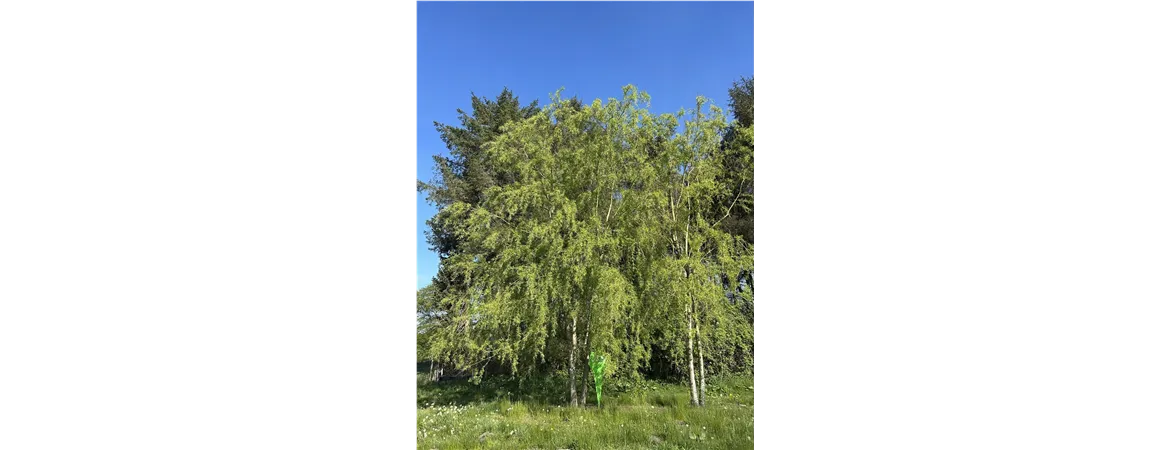 D5E34C40-0F90-4052-BD64-7FF08EE93853
