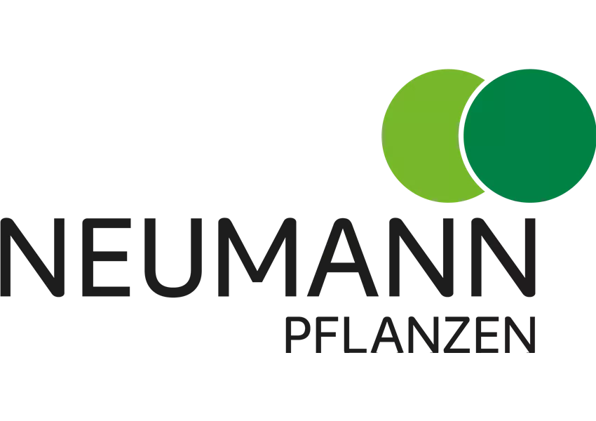 Neumann Pflanzen
