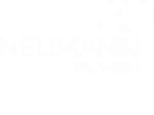 Neumann Pflanzen
